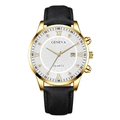 Détail de montre Geneva à quartz avec cadran spirale blanc et guichet de date - Cadran Blanc Boîtier Doré Bracelet Noir