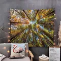 Arazzo da parete bosco autunnale per decorazione dormitorio con luci a LED decorative - 150x130cm / 200612-Vista Verso l'Alto della Chioma Autunnale
