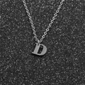 Detail of silver stainless steel necklace featuring a polished capital letter D pendant - Steel D