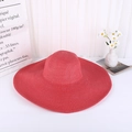 Simple Style Watermelon red