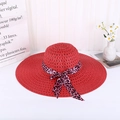 Leopard Bow Style Red