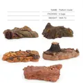 Vistas detalladas de diversos modelos de bases de terreno con rocas y fósiles de dinosaurio - Juego de Modelos de Plataforma (En Bolsas)