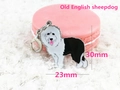 Macro view of an Old English Sheepdog enamel charm with dimensions 30mm by 23mm - Old English Sheepdog