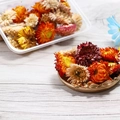 Assorted colorful dried flower heads for DIY crafts on a natural wood surface background - Colored Chrysanthemum 1 Box 35g