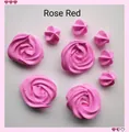Vista dettagliata del set di ciondoli a fiore e stella in crema rosa rossa DIY - Rosa Rossa