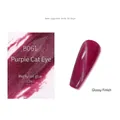 Vernis à ongles gel Purple Cat Eye B061 avec effet magnétique brillant 12ml - Œil de Chat Violet B61