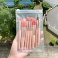 Set of 8 mini pink makeup brushes with soft bristles in a clear portable travel pouch - 8Pcs Set-EVA Bag / Pink