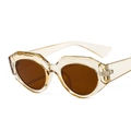 Fashionable oversized amber geometric sunglasses with dark brown lenses for women and men - Champagne Frame / Tea Lens