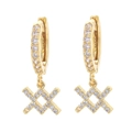 Aries zodiac hoop earrings with gold-plated finish and micro-pave cubic zirconia drop - Aquarius