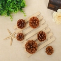 Set of 6 natural pine cones on rustic wooden fence for DIY Christmas decoration - 3-4CM Chinese Red Pinecone