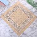 55cmx55cm Beige