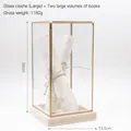 Brass glass display box with wooden base and vintage scrolls, height 26cm width 13.5cm - Large Case + 2 Large Scrolls