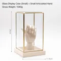 Nordic brass glass display case with wooden base and articulated mannequin hand model - Small Case + Small Articulated Hand