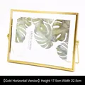 Nordic gold metal ginkgo leaf photo frame 22.5x17.5cm with botanical insert card - Horizontal Frame 7 Inch Gold / Gold