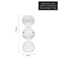 Transparante glazen hydrocultuur vaas met drie bollen, hoogte van 17,5 cm - Klein (3 Ballen) / Transparant
