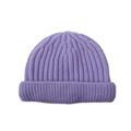 Lavender purple ribbed knit beanie for toddlers featuring a warm folded cuff design - Light Purple