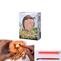 3D skeleton dinosaur excavation kit with plaster block and red plastic tools - Dinosaur Skeleton Dig Kit Single Pack