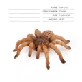Realistic brown wolf spider toy model with orange stripes, size 7.5x6x2cm - Wolf Spider ZQ1689