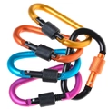 Five assorted colored D-ring locking carabiners in heavy duty aluminum alloy for outdoors - Random Color