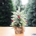 Mini albero di Natale da 30cm innevato con bacche rosse e base in sacco di iuta - Cipresso con bacche rosse (30 cm)