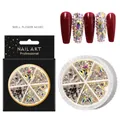 Mix of AB rhinestones and grey crystals in a 6-grid set for professional nail art - Mixed AB Rhinestones Wheel (009)