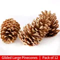 Pack de 12 piñas de Navidad doradas con acabado metálico sobre fondo de nieve - Juego de 12 / Dorado