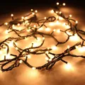 Warmweiße LED-Weihnachtslichterkette mit dunklem Kabel für festliche Dekorationen - Warmweiß