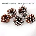 Set de 12 piñas naturales con pintura de copos de nieve para decoración navideña - Juego de 12 / Mini Copo de Nieve