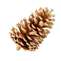 Piña de pino dorada individual para decoración de techos en fiestas de Navidad - Pieza Única / Dorado