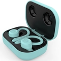 Mint green wireless sports earbuds with earhooks and black interior charging case - Button Version / Glacier Blue