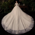 Vestido de novia estrellado con cola larga y bordado de encaje visto por detrás - US 26W / Con cola / Champán