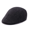 Deep grey winter wool newsboy hat for men featuring thick tweed texture and retro style - 58cm One Size / Black Stripe