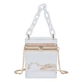 Transparente Acryl-Box-Tasche mit Goldrahmen und dicker Klarsicht-Kettenriemen - Transparent