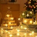 Warm yellow star-shaped LED string lights decorating a mini wooden tree and green plants - Star-Warm White