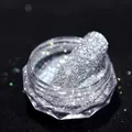 Polvere glitter argento olografica #004 per unghie in barattolo con tip di prova lunga - Polvere di Diamante Cristallo #4 (Argento Olografico)