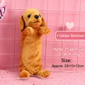 Astuccio in peluche a forma di Golden Retriever con cerniera per cancelleria scuola - Golden Retriever