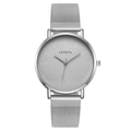 Geneva minimalist silver quartz watch with mesh stainless steel strap on white background - Silver