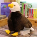 Peluche realistico di aquila calva con testa bianca e corpo marrone seduto su un libro - Aquila calva realistica / 20cm (100g)