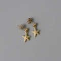 Pendientes de estrella de mar en acero de titanio chapado en oro 14K con textura fina - Estrella de mar / Dorado