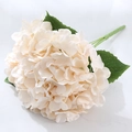 Single cream white artificial hydrangea bouquet with 5 heads and green leaves - Light Champagne