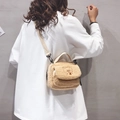 Cute lamb wool crossbody bag in beige with bear embroidery and adjustable strap - Khaki