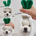Dettaglio di una felpa con cappuccio bianca e verde con design a carota per cani piccoli - XS / Rapanello Bianco con Coulisse