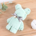 Mint green coral fleece towel bear with pearl bow tie on a wooden tray background - Cyan (30*30)