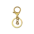 Golden keychain accessories set featuring lobster clasp and metal keyring on white background - Gold (Lobster Clasp + 4 Link Chain)