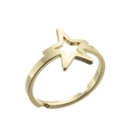 Adjustable golden stainless steel open ring with hollow star design on white background - Adjustable Open / Five-pointed Star Gold