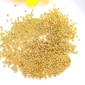 Bulk 14K gold plated crimp beads and findings for DIY jewelry making and beading - 2.5mm (10g Approx 420pcs) / 18k Gold Color Preserved