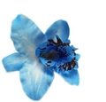 Detailansicht der blauen künstlichen Orchideen-Haarklammer mit Leoparden-Muster - Blau