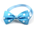 Dettaglio del papillon azzurro a pois in poliestere con cinturino per animali domestici - Blu a Pois Bianchi