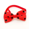 Close-up of red polka dot pet bowtie showing detailed ribbon texture on white background - Red Black Polka Dot