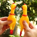 Pair of yellow rubber squeaky chicken toys making loud noise when squeezed outdoors - Squeaky Rubber Chicken
